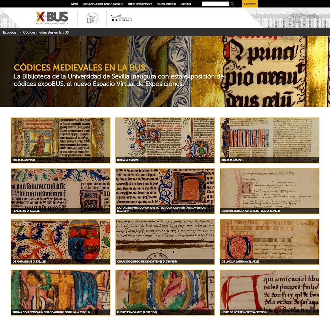 expobus_codices_codices_scaled_50